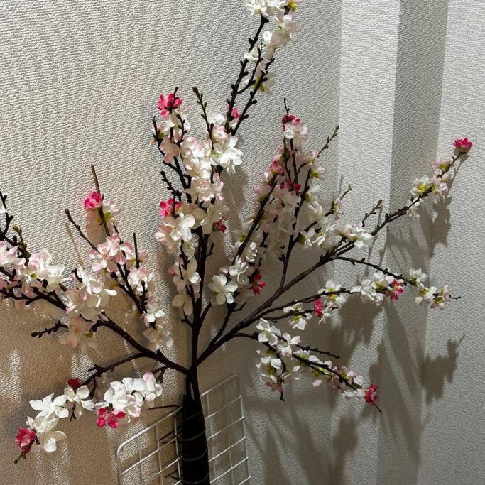 Style Labお花茶屋 * โตเกียว